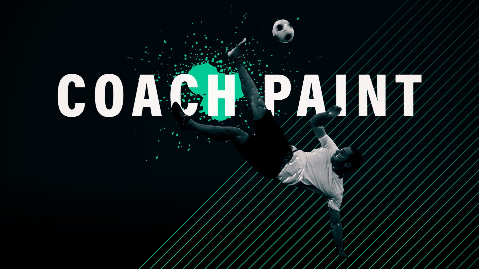 preview coach paint video-1